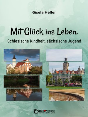 cover image of Mit Glück ins Leben